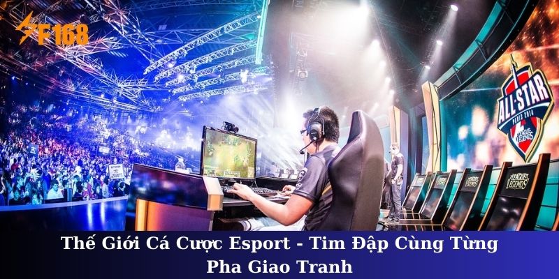 Thế Giới Cá Cược Esport - Top Nhà Cái Được Yêu Thích Nhất 2025