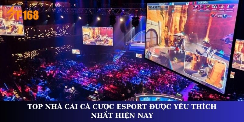 Top nhà cái cá cược Esport được yêu thích nhất hiện nay